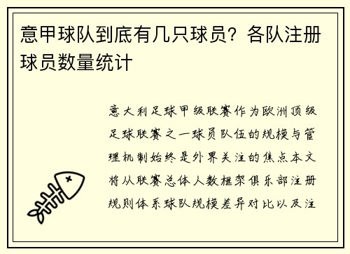 意甲球队到底有几只球员？各队注册球员数量统计